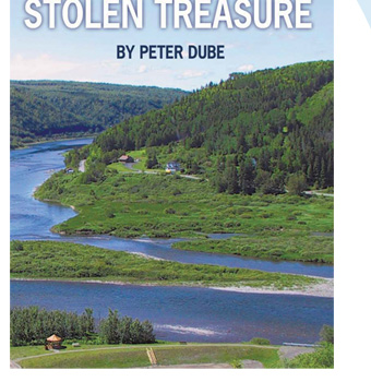 Stolen Treasure book